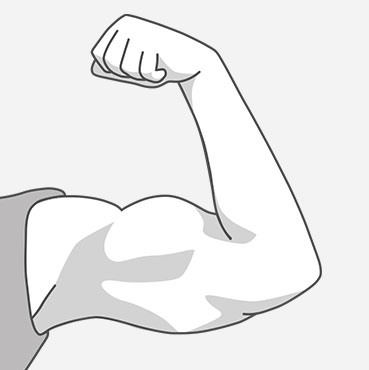 Prominent arm muscles