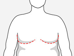 Full chest